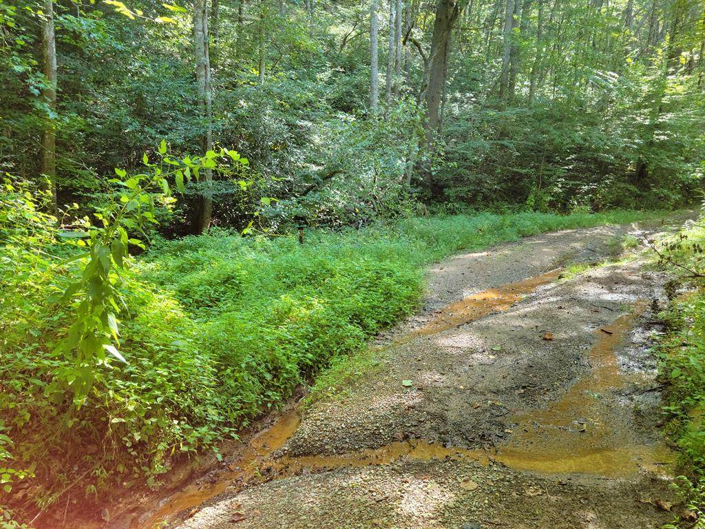 Valentine Branch Rd - Photo 1