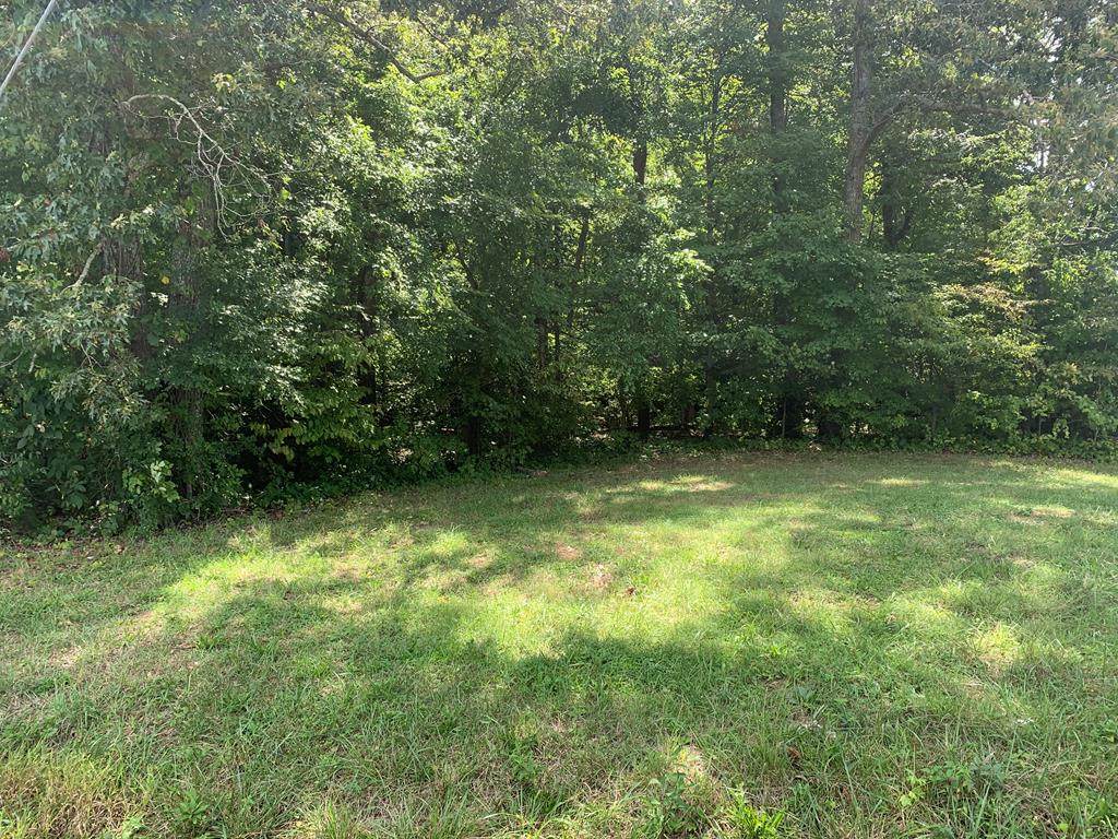Chilhowee Academy Road - Photo 1
