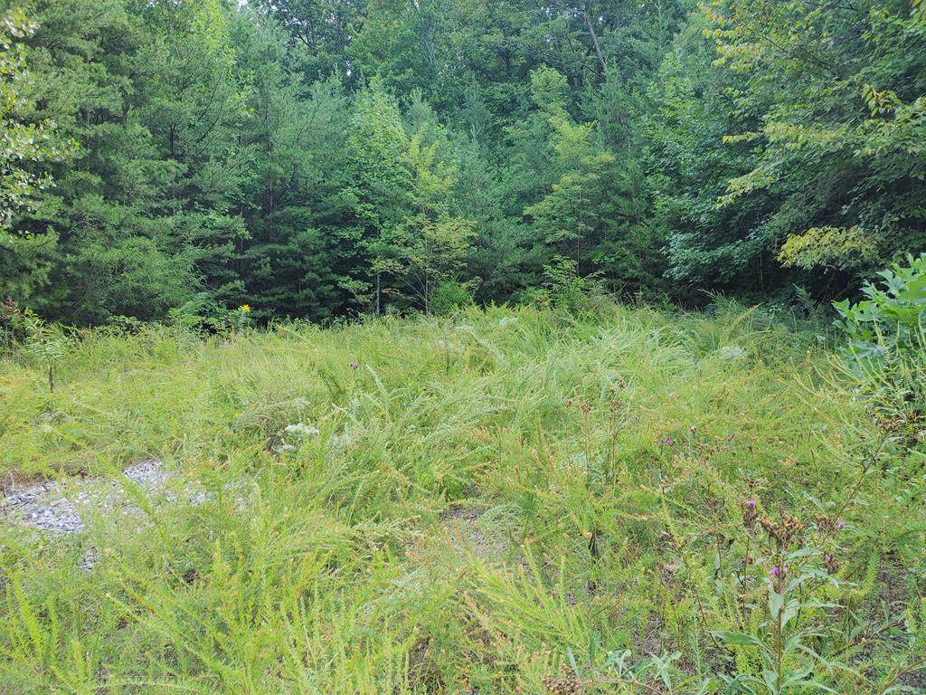 Lot 22 Eagle Mountain Road - Photo 1