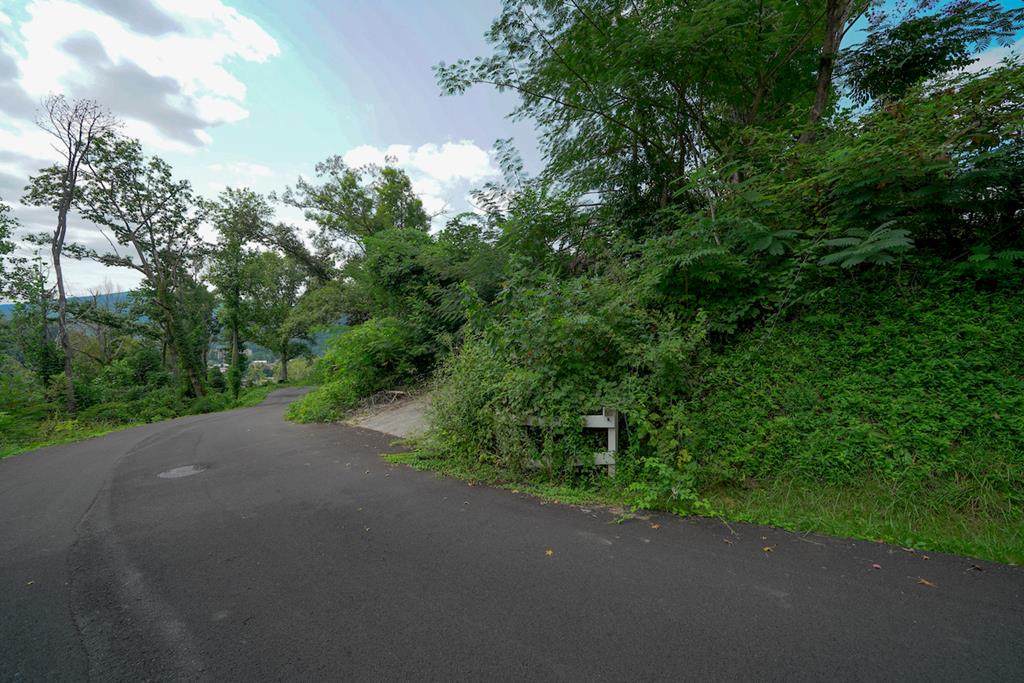 245 Browns Ridge Rd. - Photo 1