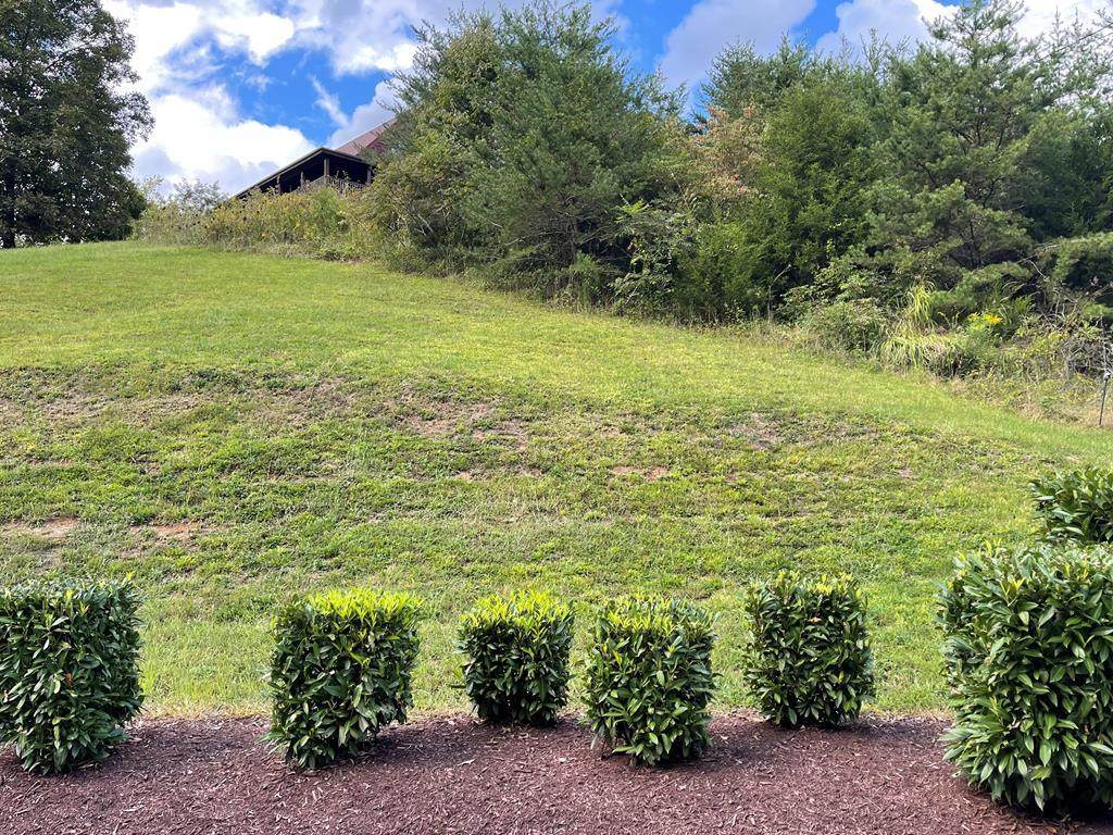 Lot 43 Wedge Tailed Ln - Photo 1
