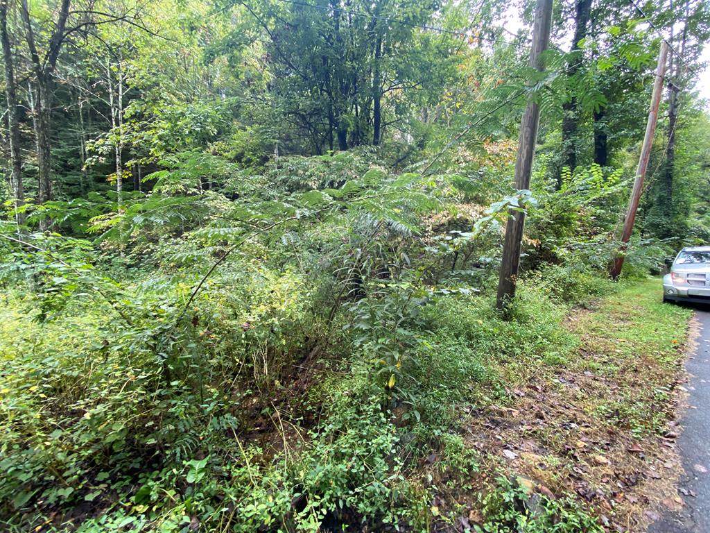 School House Gap Rd - Photo 1