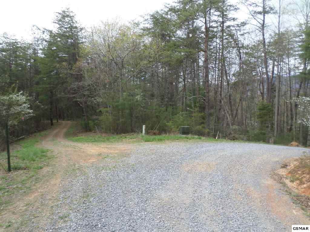 Tract 26 Faith Mtn Way - Photo 1