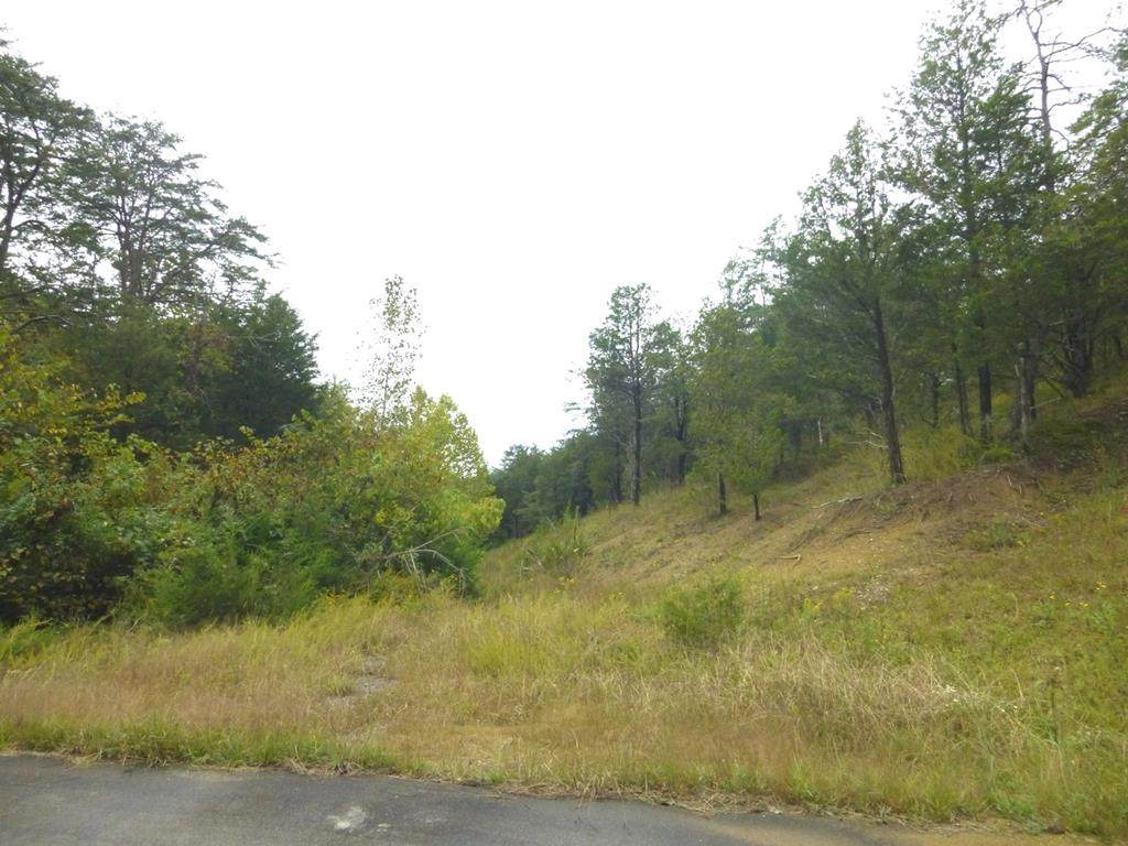 Lot 72 Grande Vista Dr. - Photo 1