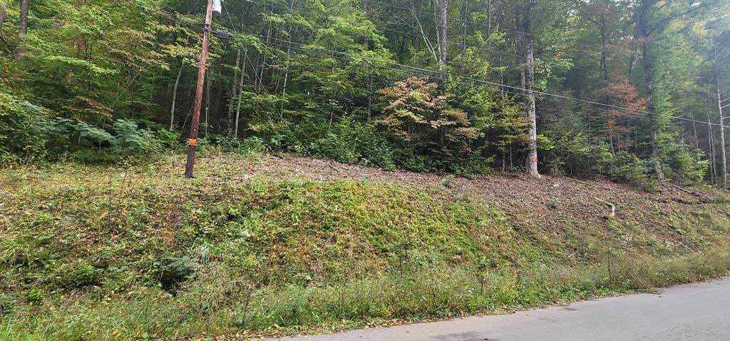 Lot 0007 Hidden Valley Rd - Photo 1