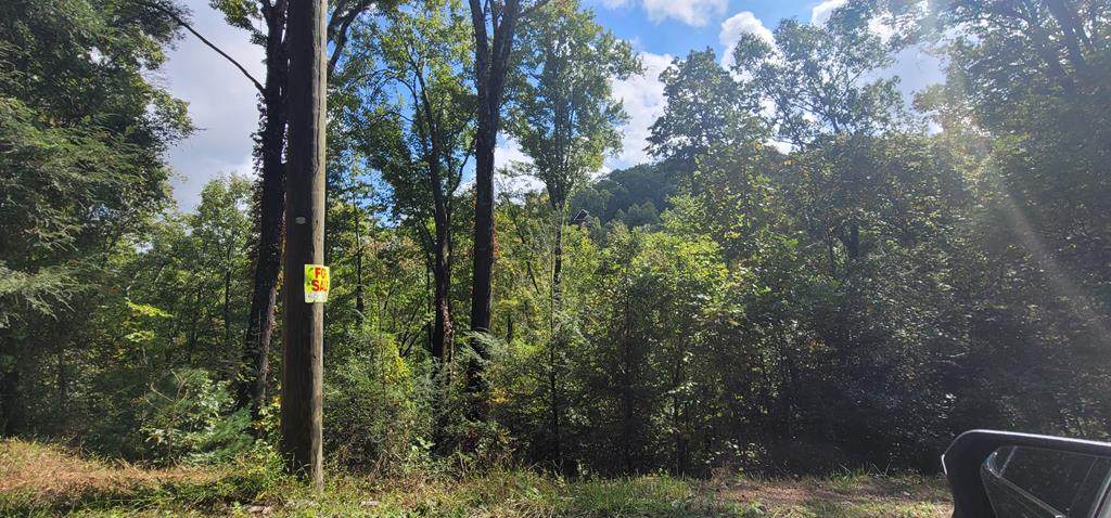 Lot 2 Cove Mtn Ln - Photo 1