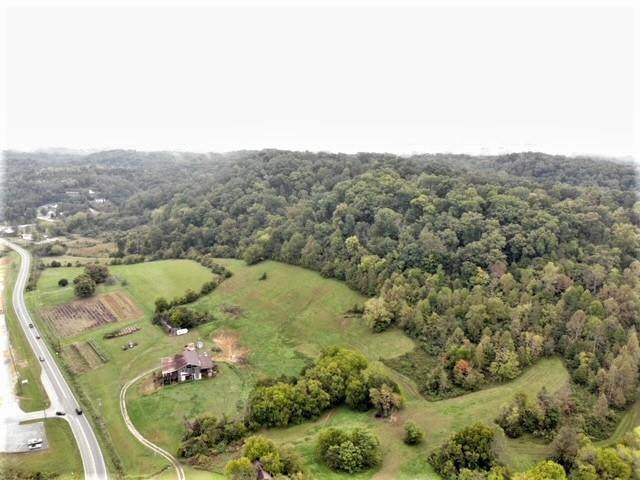 3237 Boyd's Creek Kwy - Photo 1