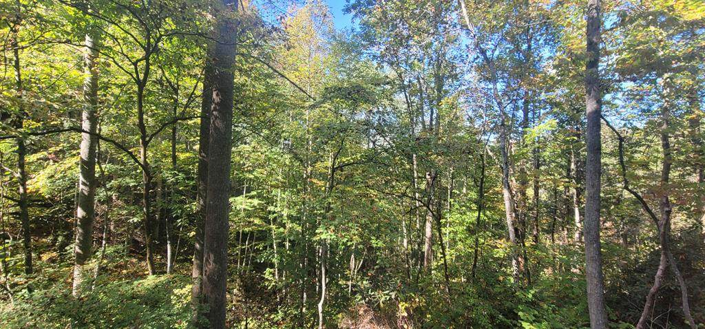 Lot 21 Moody Dr - Photo 1