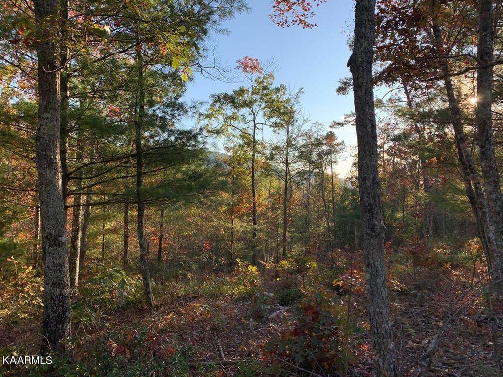 Lot 17&18w Hawken Dr - Photo 1