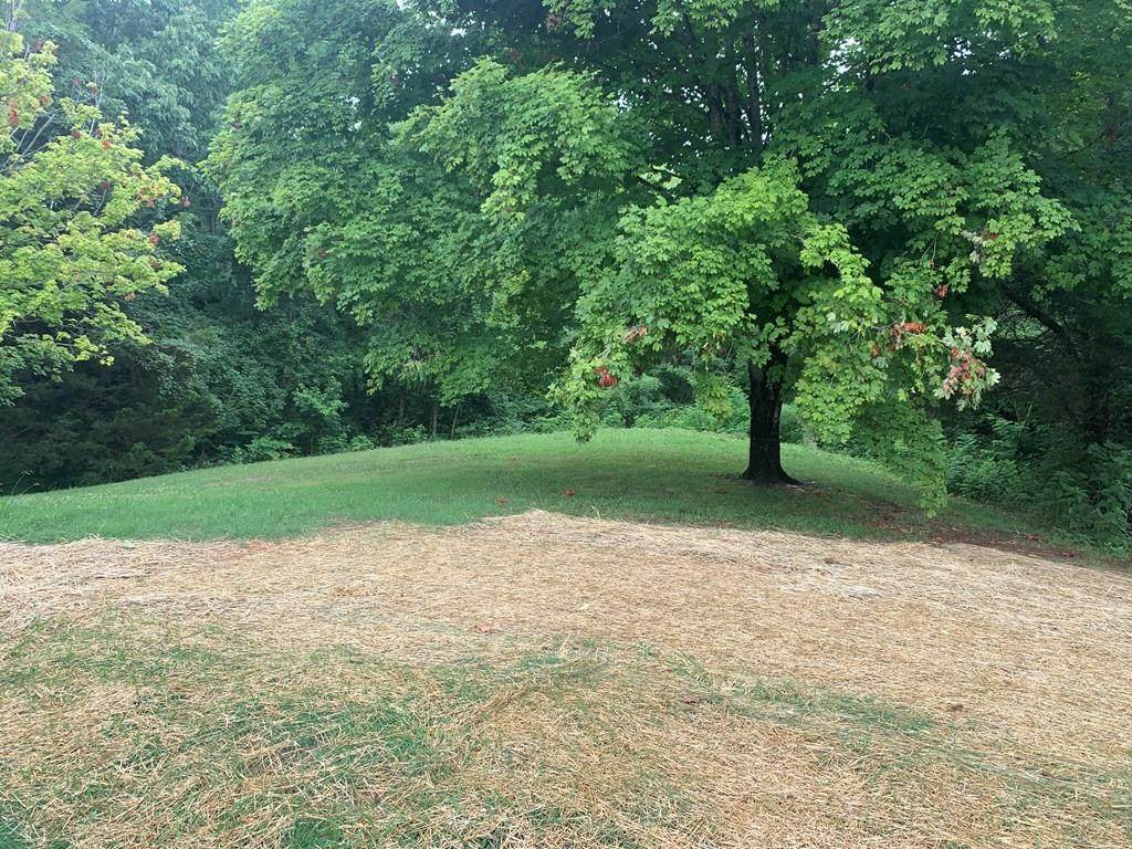 1873 Bouldercrest Drive - Photo 1
