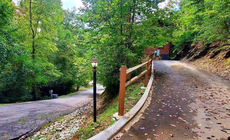 663 Black Bear Falls Way - Photo 1
