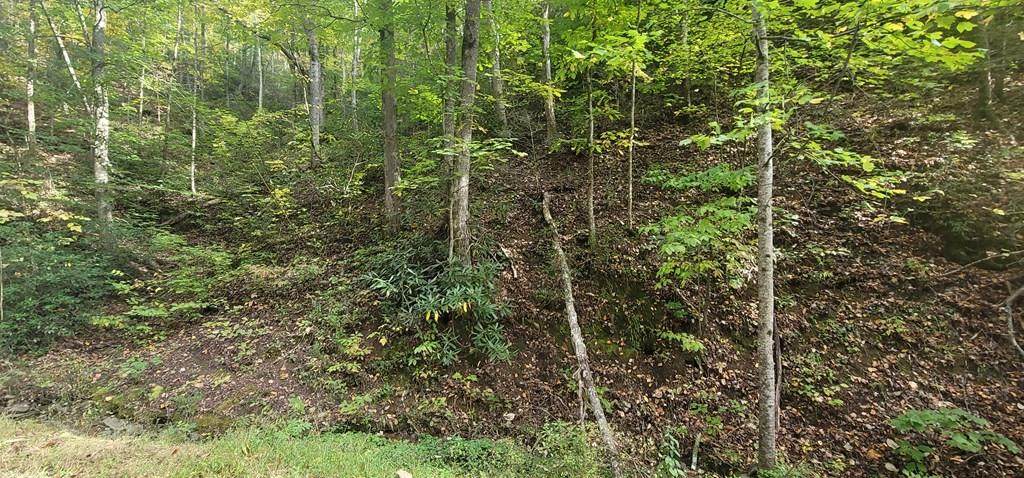 Parcel 048 Hidden Valley Rd - Photo 1