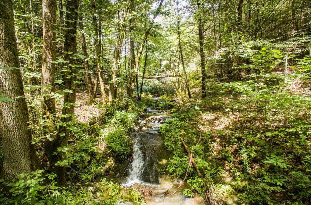 Oldham Creek Road - Photo 1