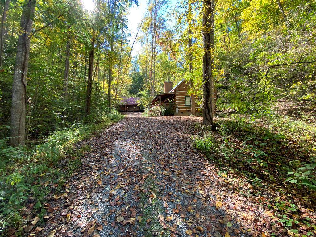 1647 Bear Valley Rd - Photo 1