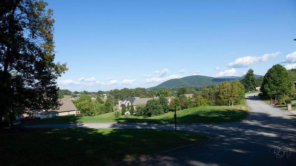 Friar Woods - Photo 1