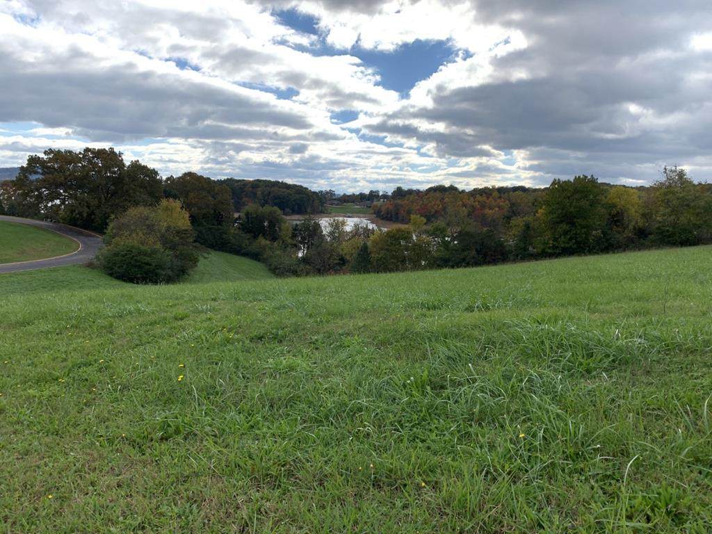 Lot 30 Shiloh Springs Rd. - Photo 1