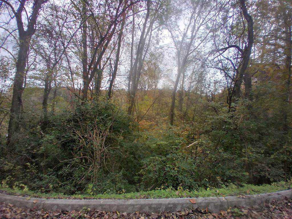 Hideaway Ridge Circle - Photo 1