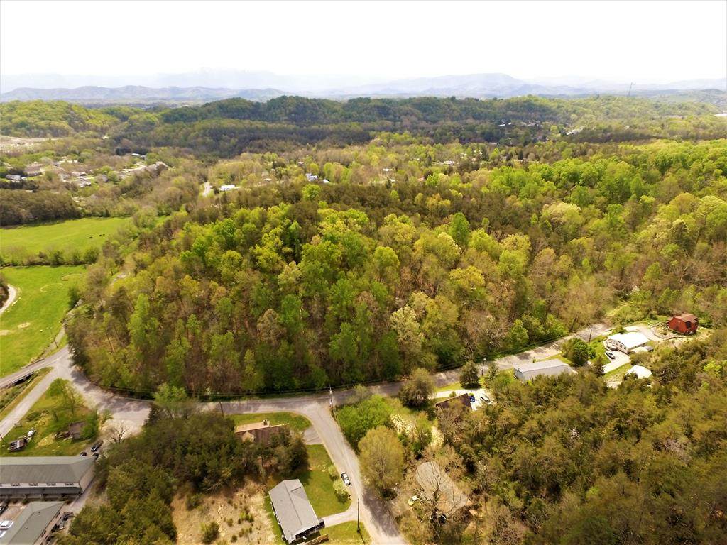 Kellum Creek Road - Photo 1