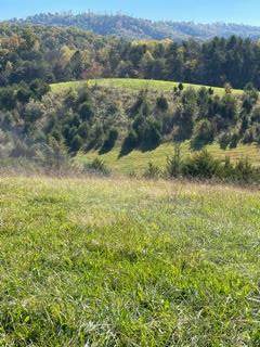 Mccarter Hollow - Photo 1
