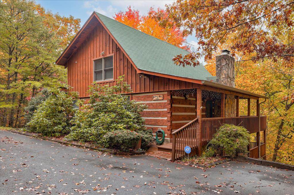 1126 Ski View Ln - Photo 1