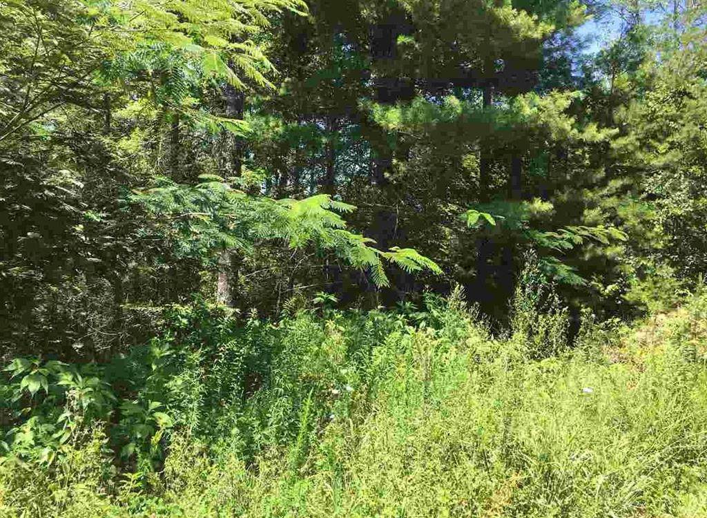 Lot 17 Green Meadow Dr - Photo 1