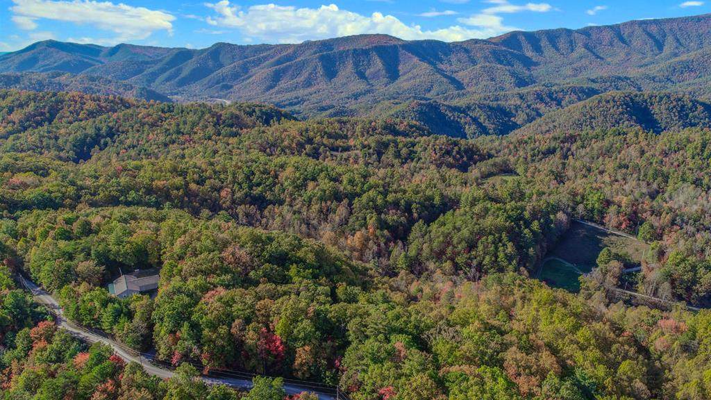 21.49 Acres Dogwood Stand Rd - Photo 1