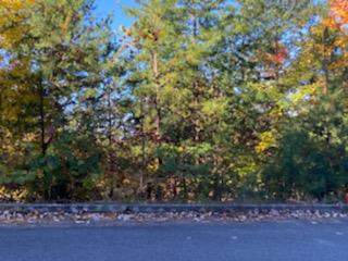 Grouse Ridge Lane - Photo 1
