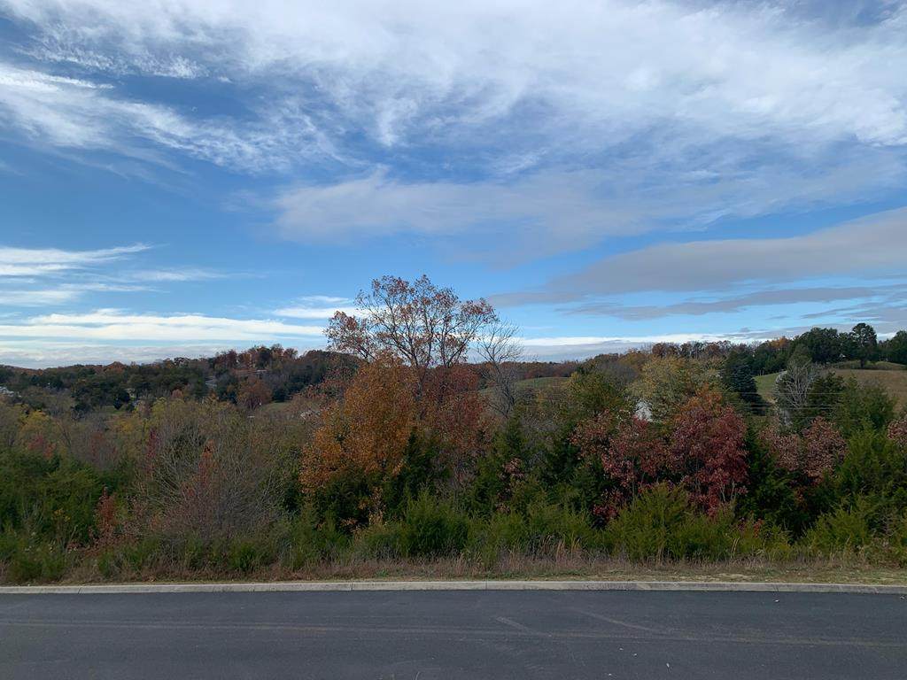 Lot 82 Blue Herring Way - Photo 1