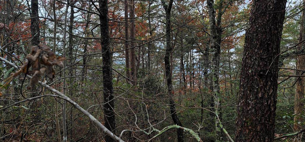 Lot 89 Geneva Ln - Photo 1