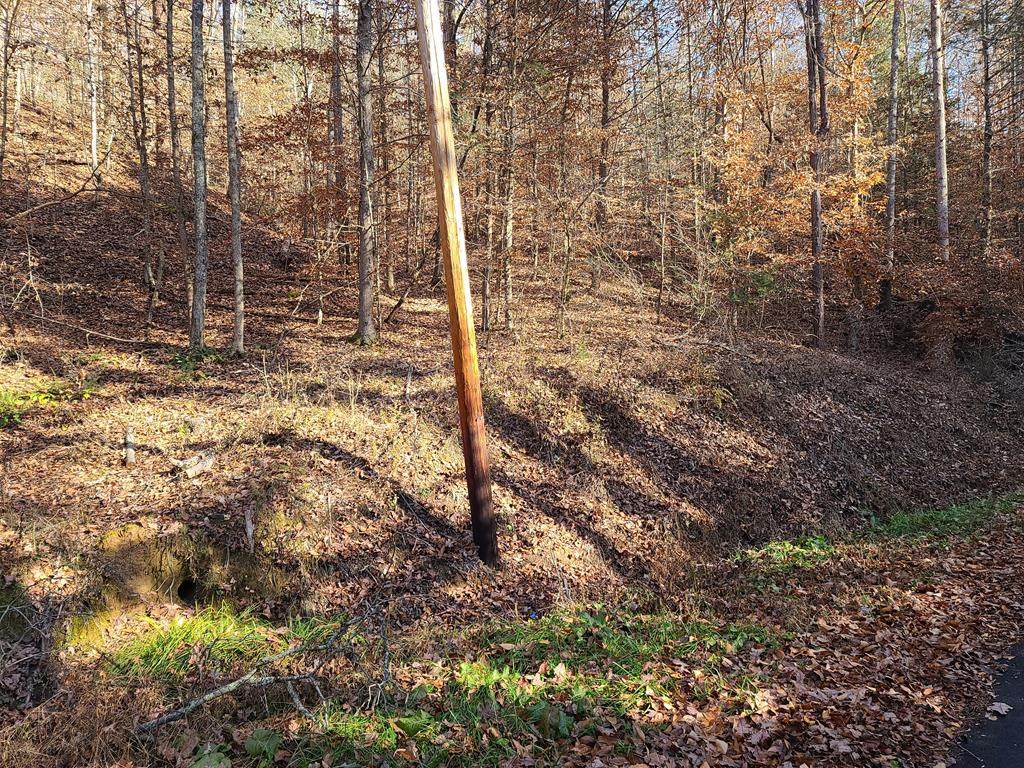 Bear Mtn Ln. - Photo 1