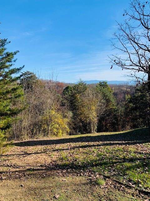 Lot 2 Sunset View Rd - Photo 1