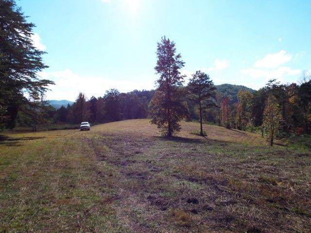 Bluff Mountain Rd - Photo 1
