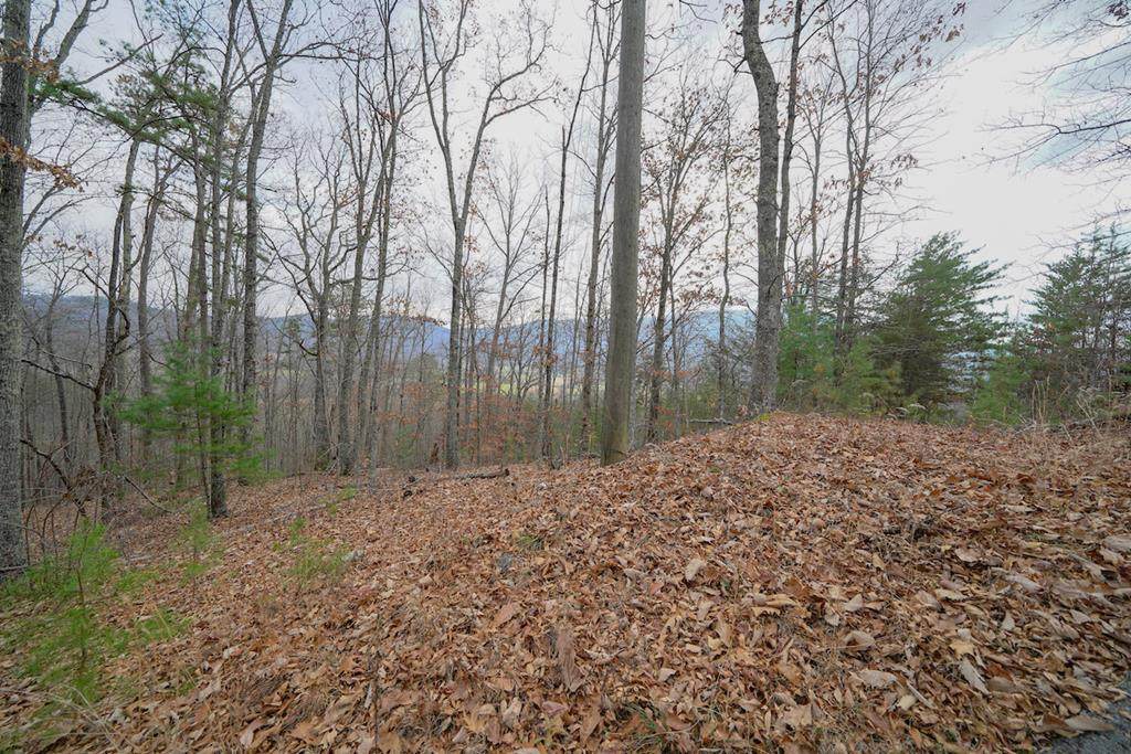 Lot 22 Whipoorwill Hill Way - Photo 1