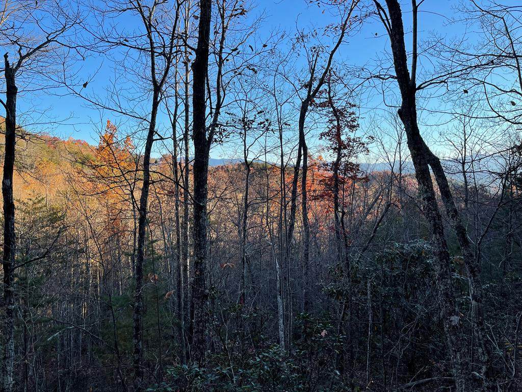 John Sevier Dr Sec R Lot 82 - Photo 1