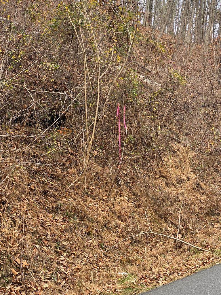 LOT D/1Bd Walker Trail - Photo 1