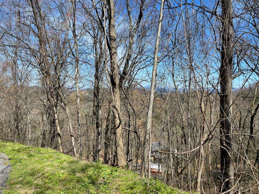 Lot 5 Majestic View Way - Photo 1