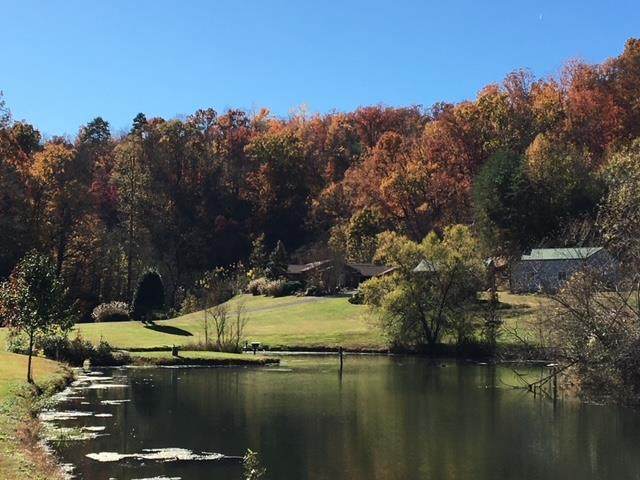217 Jones Cove - Photo 1