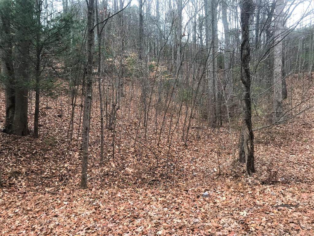Lot 1 Lone Ridge Drive - Photo 1
