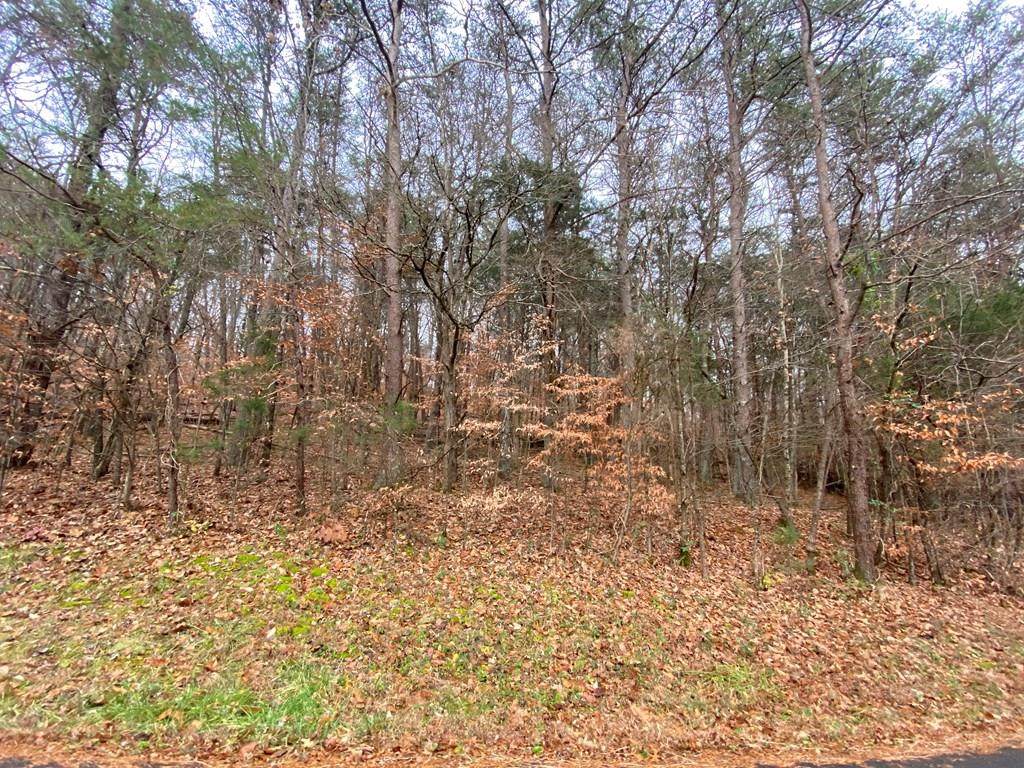 Lot 13 Catlett Dr - Photo 1