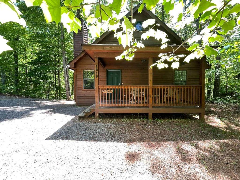 1219 Ski View Lane - Photo 1