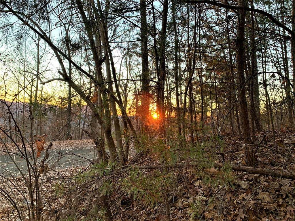 LOT 123E Settlers View Lane - Photo 1