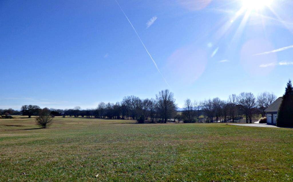 Lot 54 Wild Pear Trail - Photo 1
