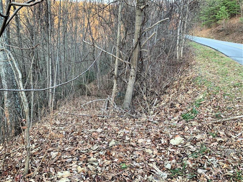 LOT 64E Redtail Road - Photo 1