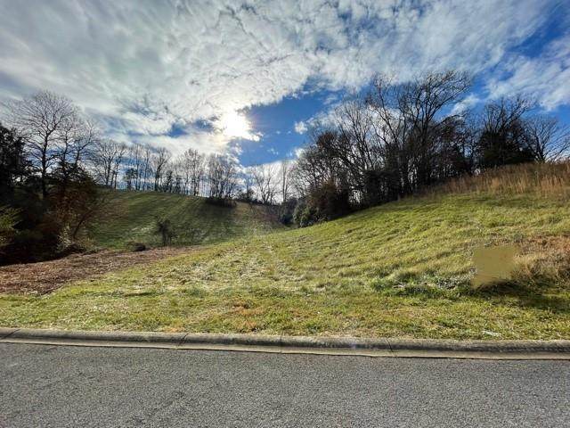 Lot 16 Sierra Ln - Photo 1