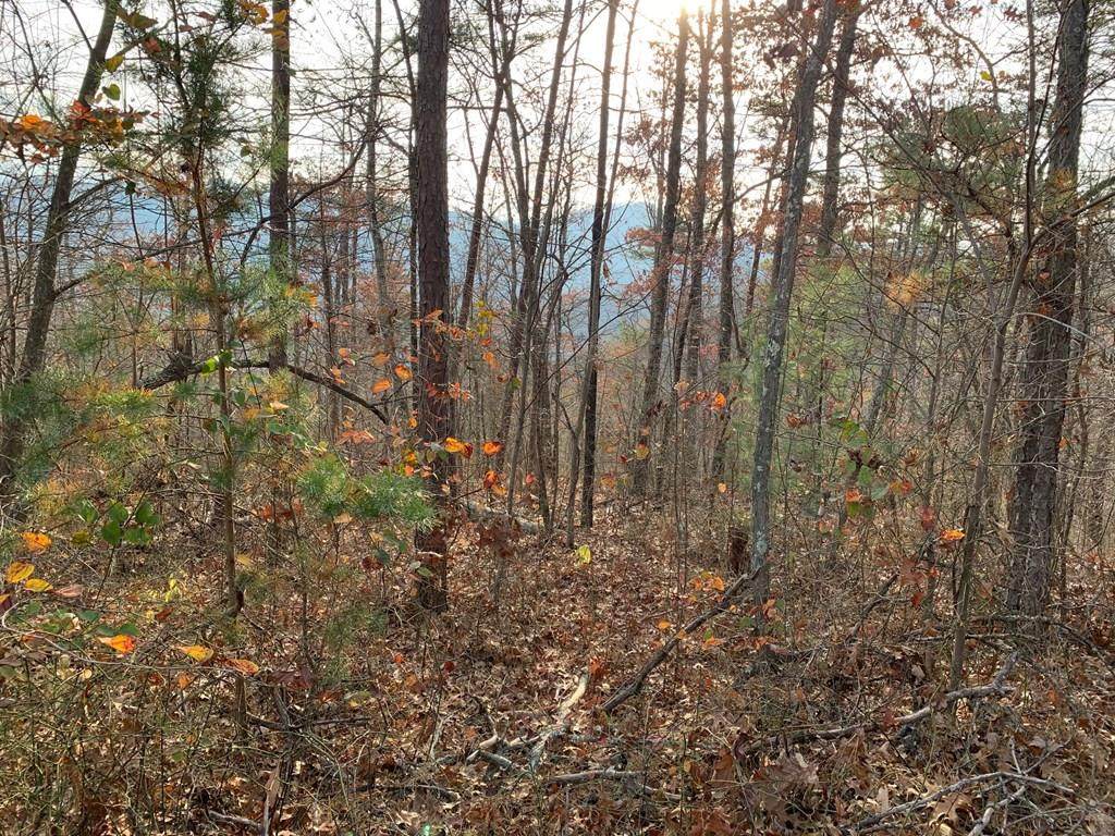 Lot 155E Harmony Hill Lane - Photo 1