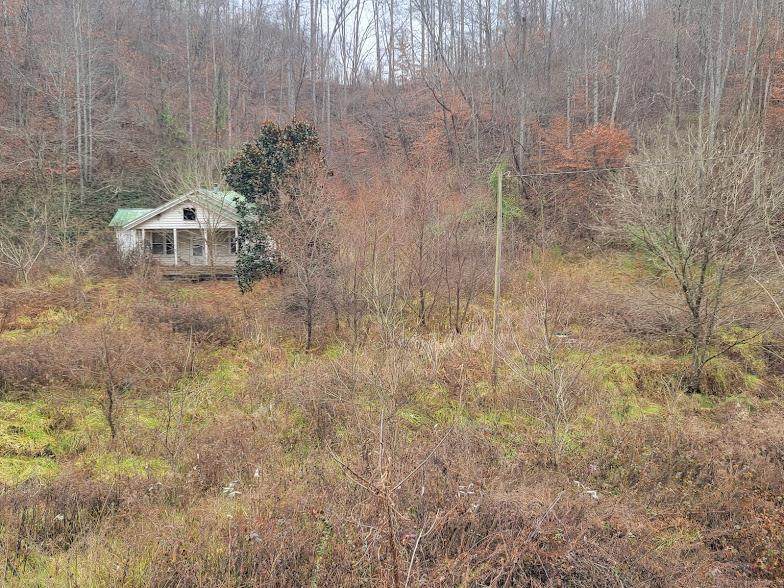 1973 Long Hollow Road - Photo 1