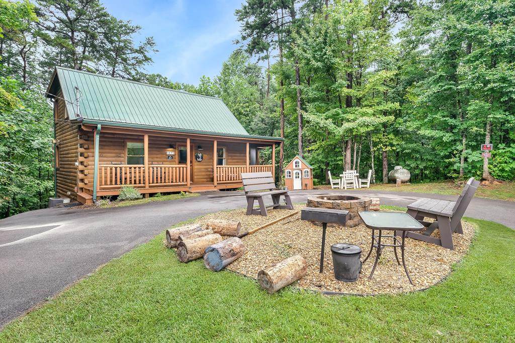1171 Ski View Ln - Photo 1