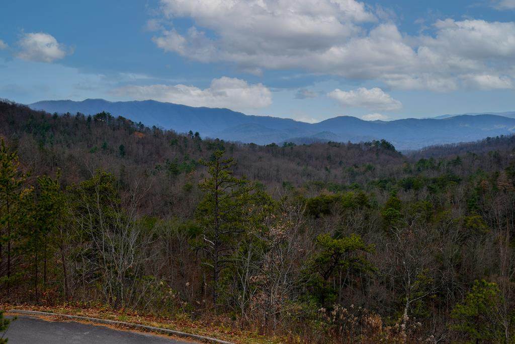 Grouse Ridge Ln - Photo 1