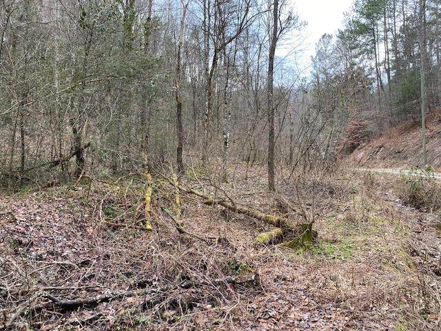 Lot 14 Hidden Hollow Way - Photo 1