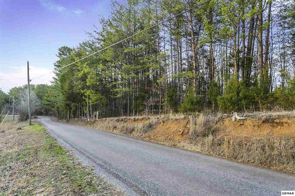 Parcel 128.1 Welch Rd - Photo 1